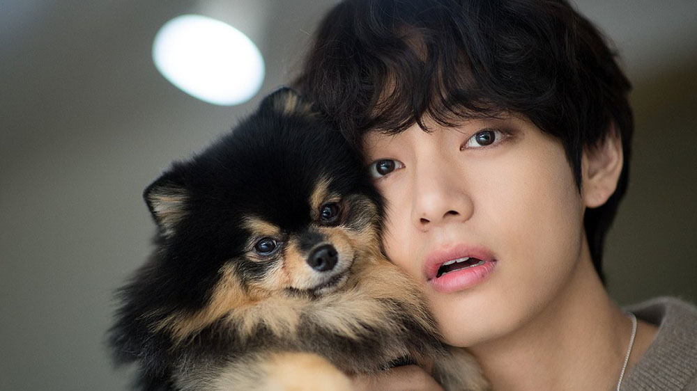 What Is Taehyung's Animal