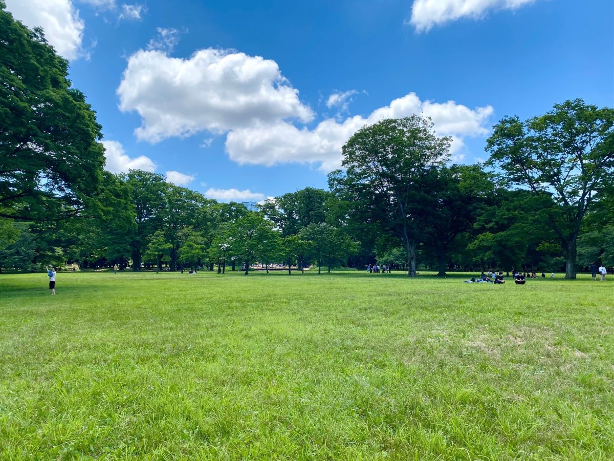公園の運動器具で体は変わる？大人向け健康遊具の筋トレ効果と設置場所
