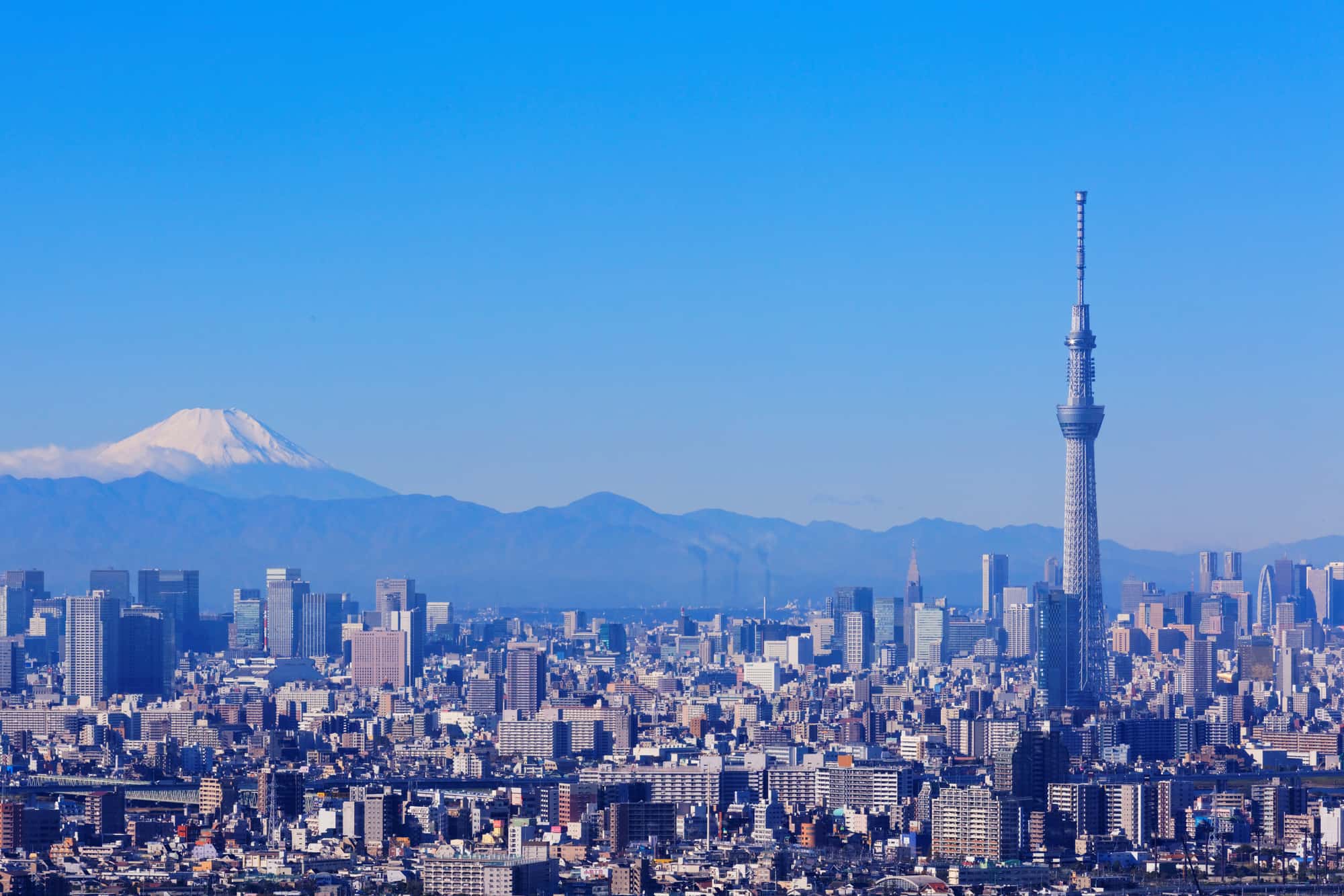 タワーと富士山を一望！都庁展望台の最新混雑回避術と無料絶景の全貌