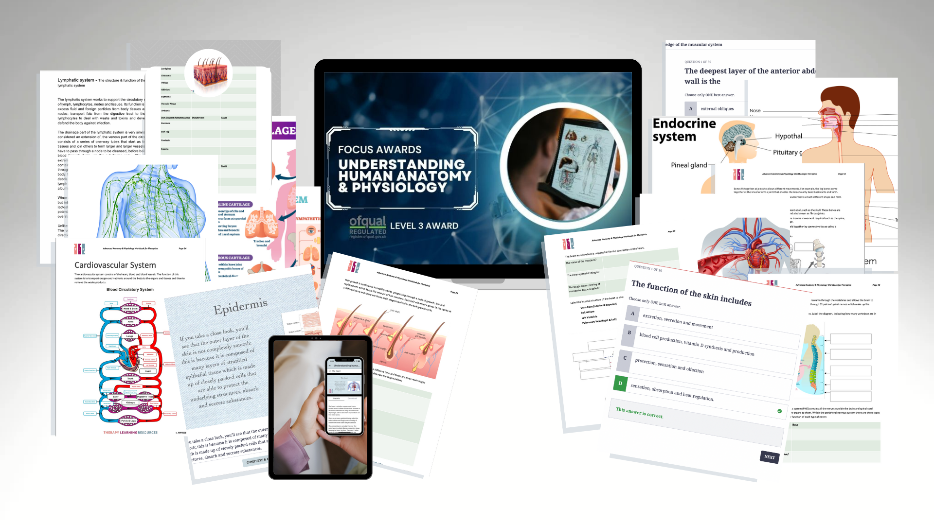University of Phoenix Online Anatomy and Physiology