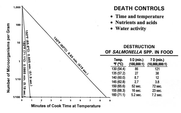 What Temperature Does Salmonella Die