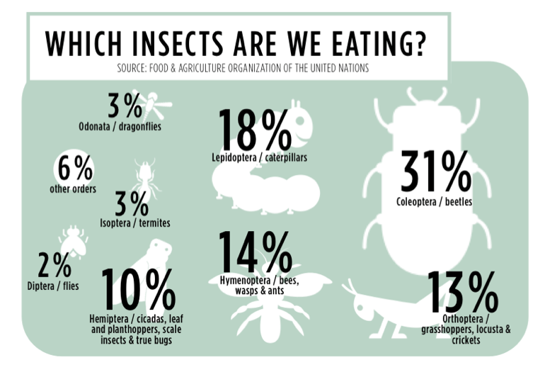 How Many Insects Do You Eat in a Year