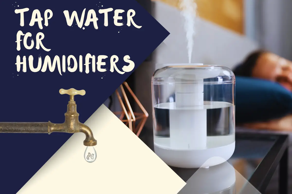 Is It Okay to Put Tap Water in a Humidifier