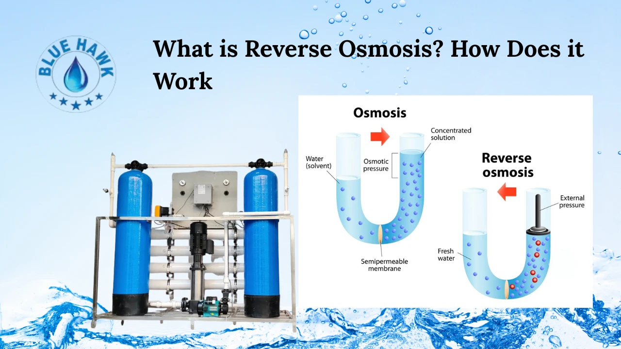 What Does Purified by Reverse Osmosis Mean