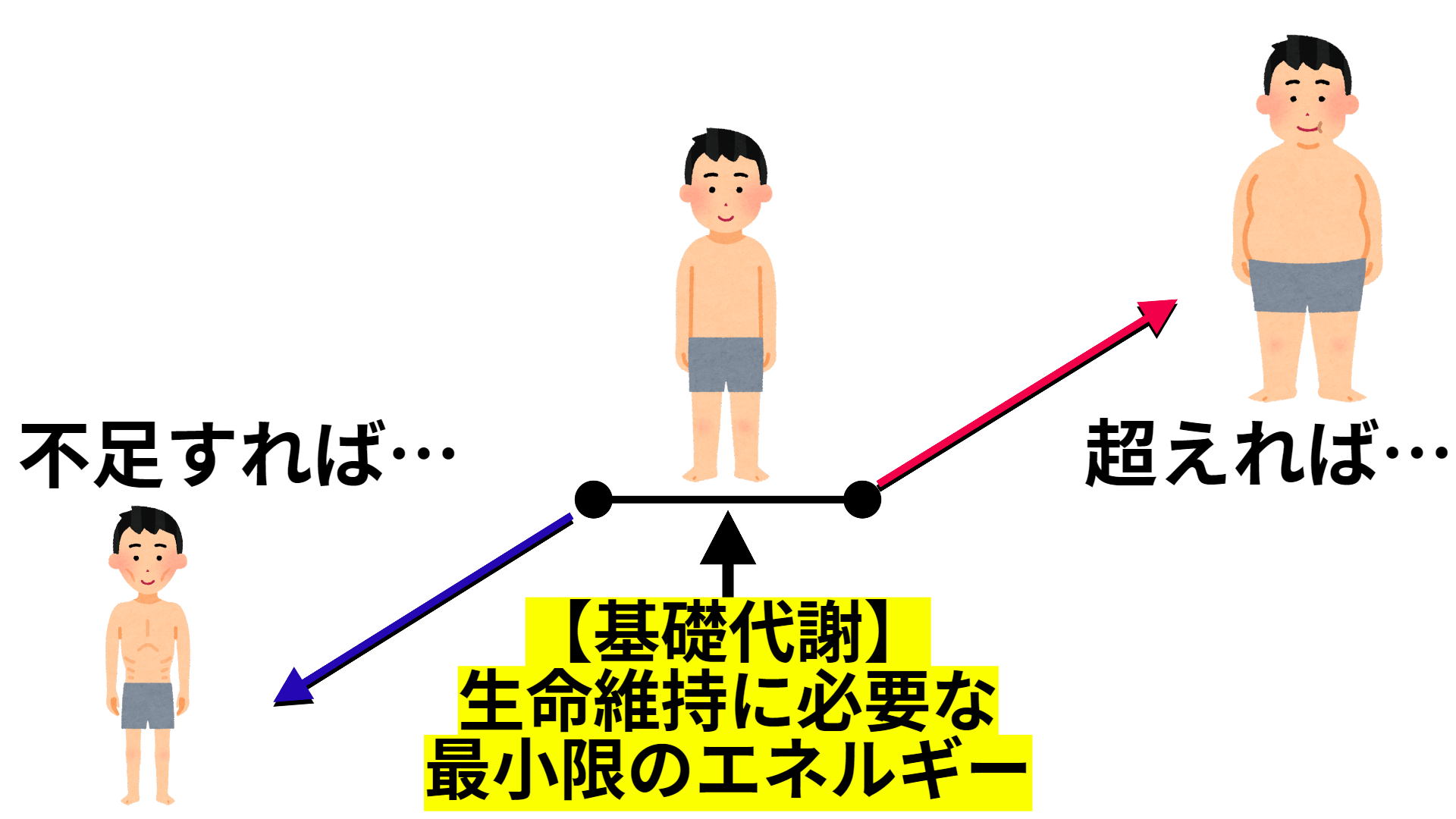 食べてすぐ横になると牛になるは嘘？食後の正しい姿勢と驚きの健康効果