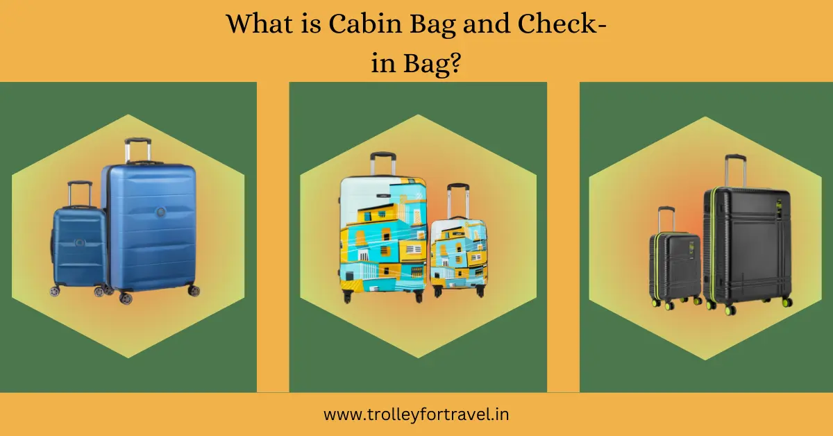 What Are Check in Bags