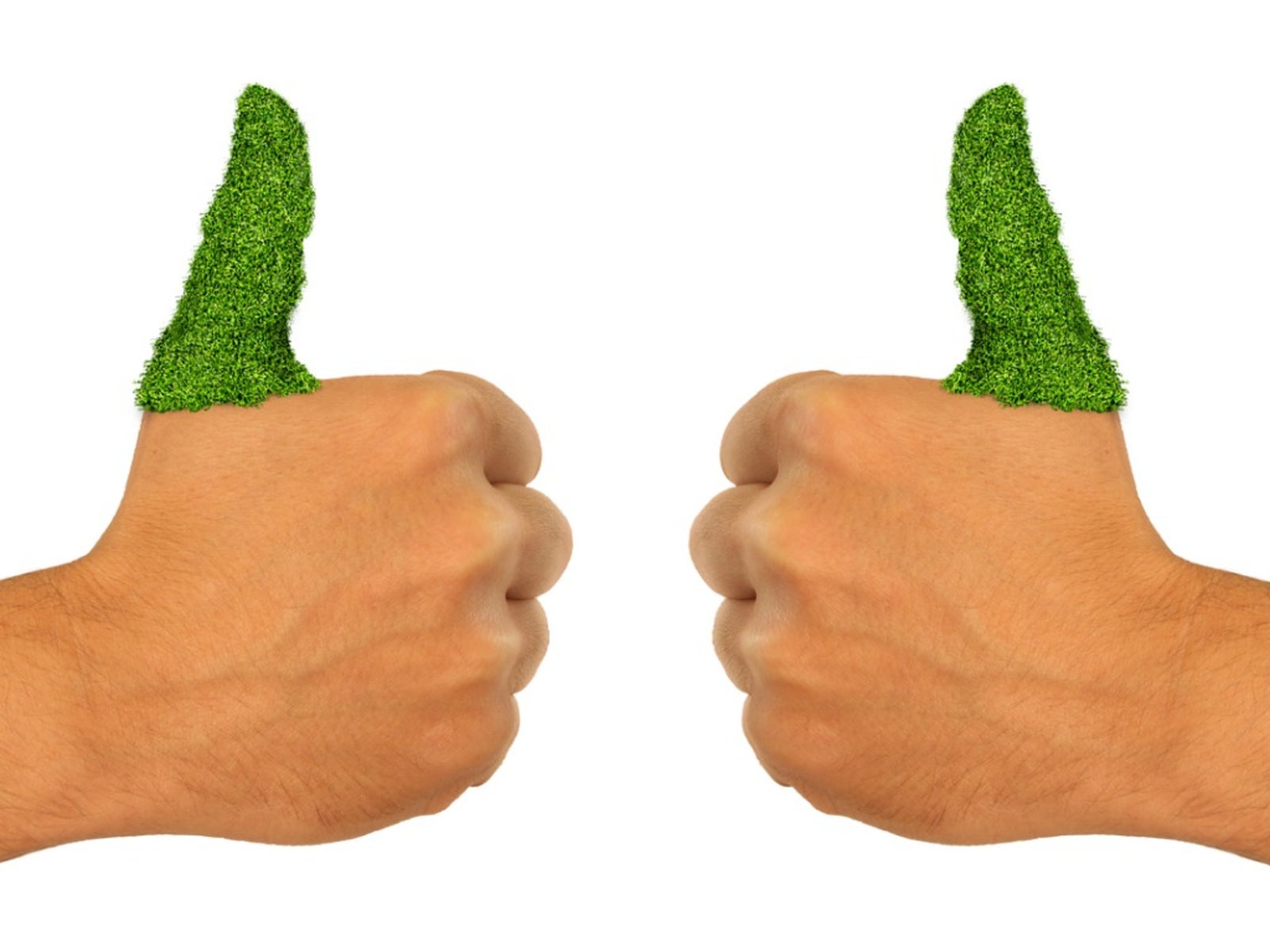 【2026年特報】「枯らし屋」から都市の救世主へ：**Green Thumb**が起こす日本のベランダ緑化革命