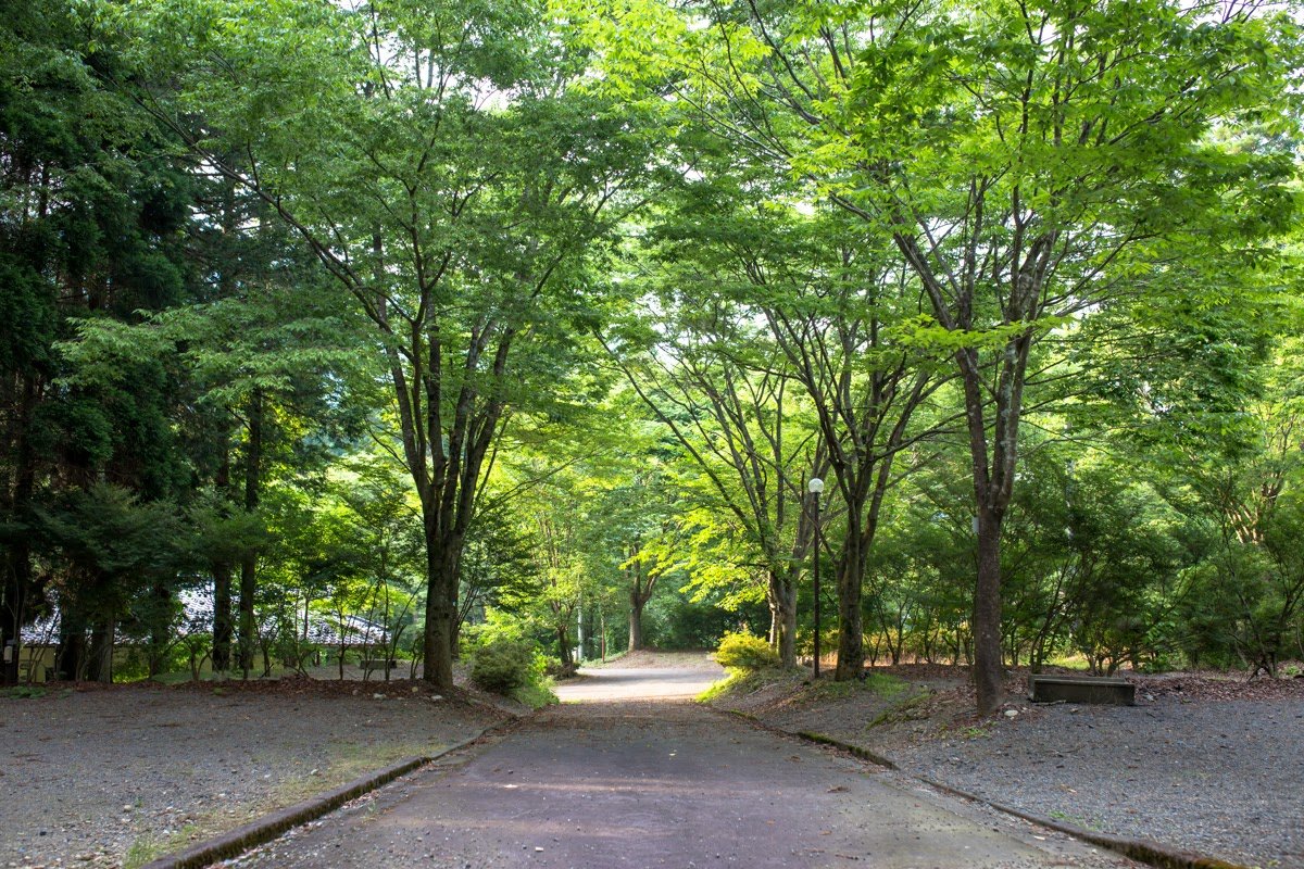 郡上八幡リバーウッドオートキャンプ場！清流の穴場と予約攻略法