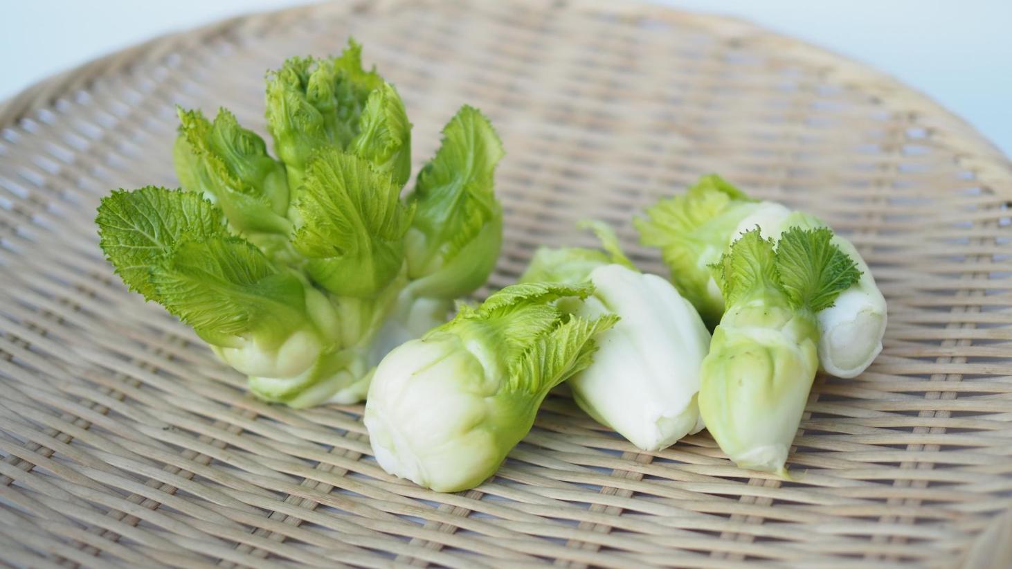 注目の新野菜アーサイとは？味の特徴や旬の時期・絶品レシピを徹底解剖