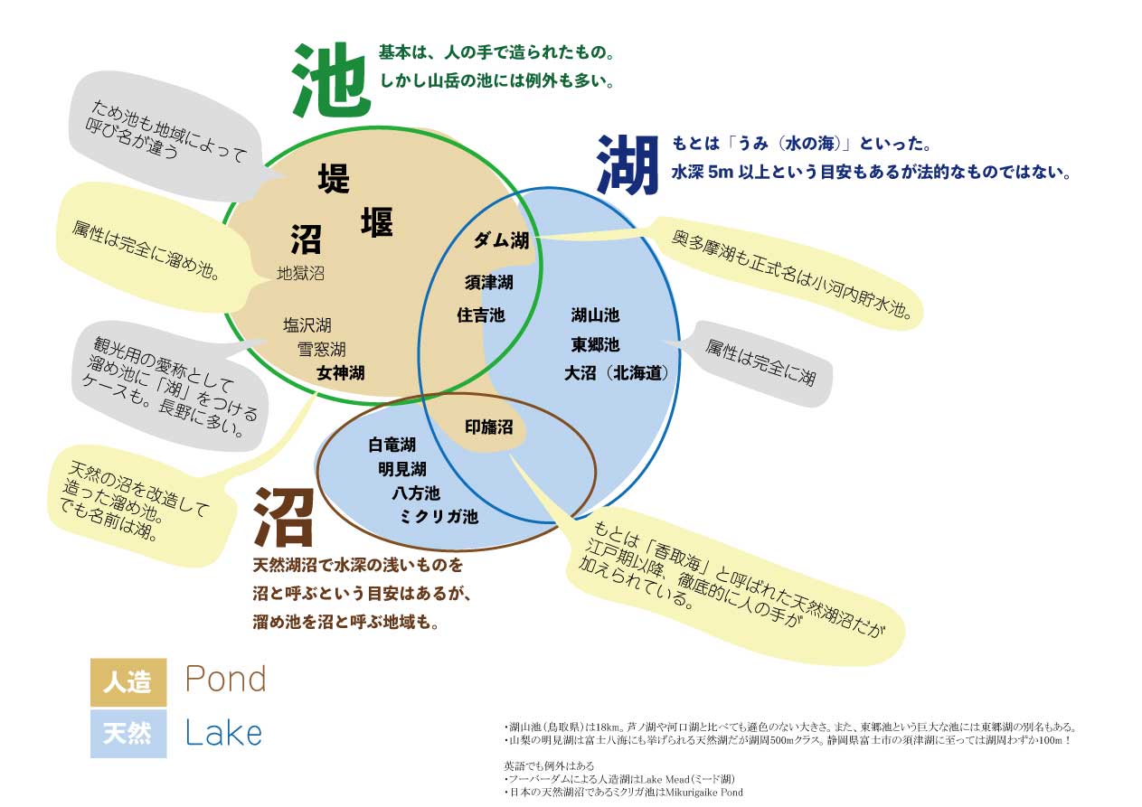 池と湖の違いは面積ではない？水深と水草が分ける定義の真相と見分け方