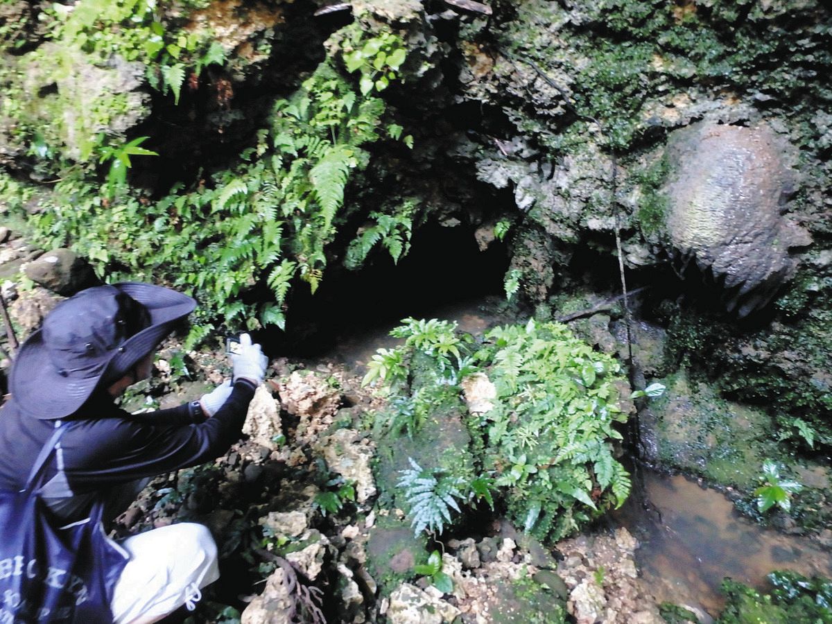 与那国島洞窟事故の真相と救助の全貌｜遭難原因と現在の安全対策を追う