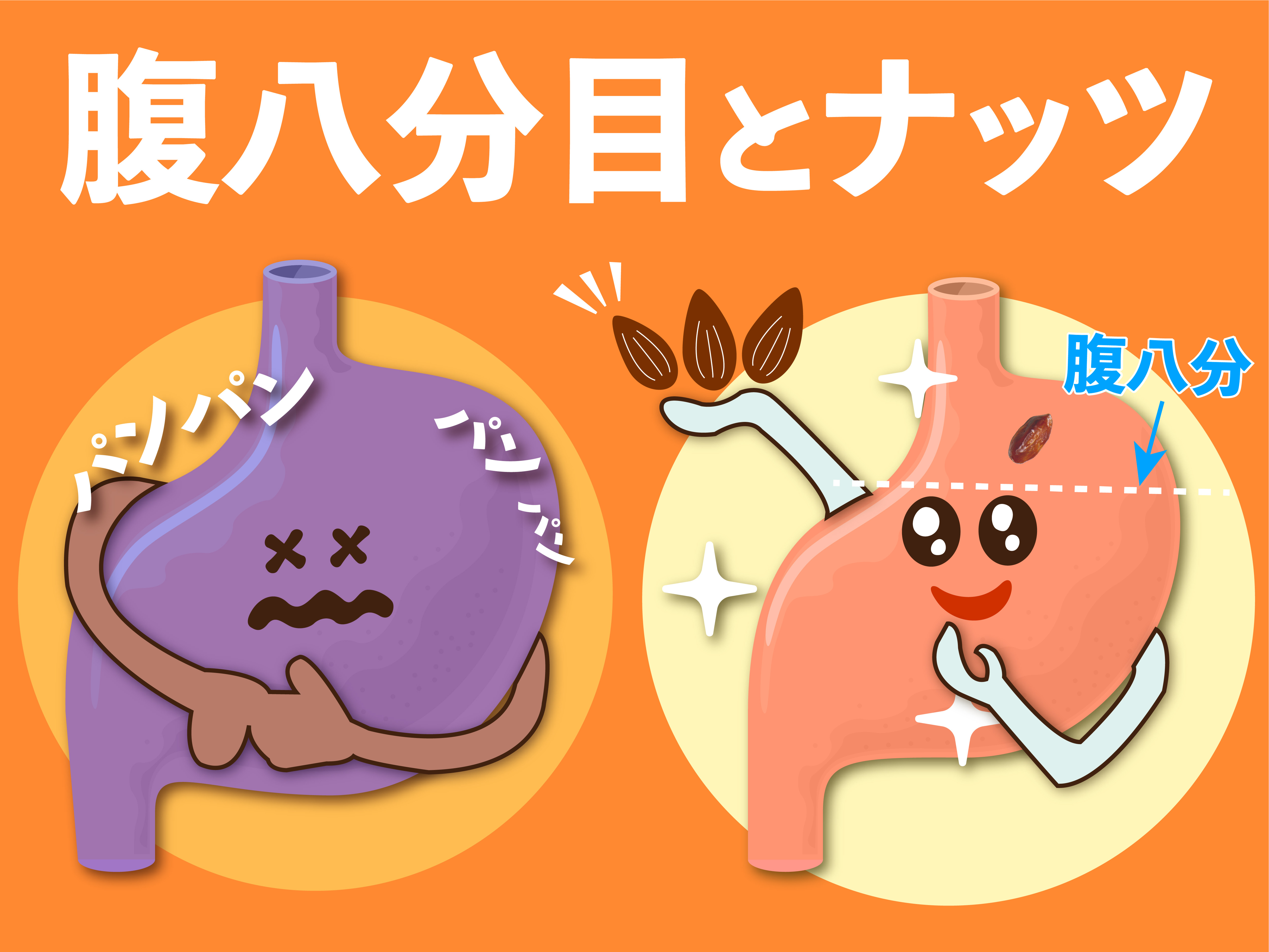 腹八分目とはどのくらい？医者いらずの医学的理由と長寿の真相を解明