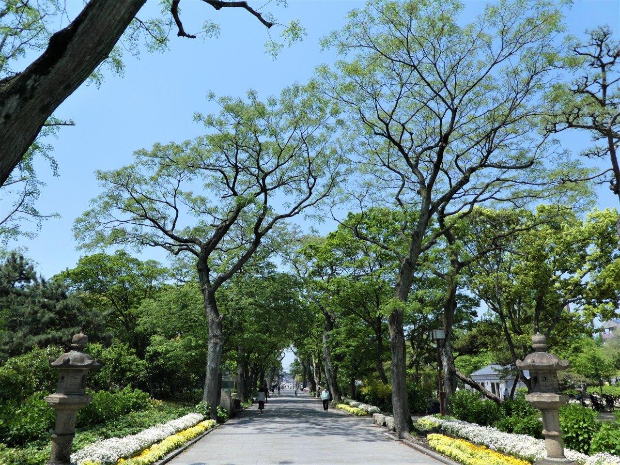 大阪最古の住吉公園を現地検証！桜・無料Bbqと駐車場の真実【2026】