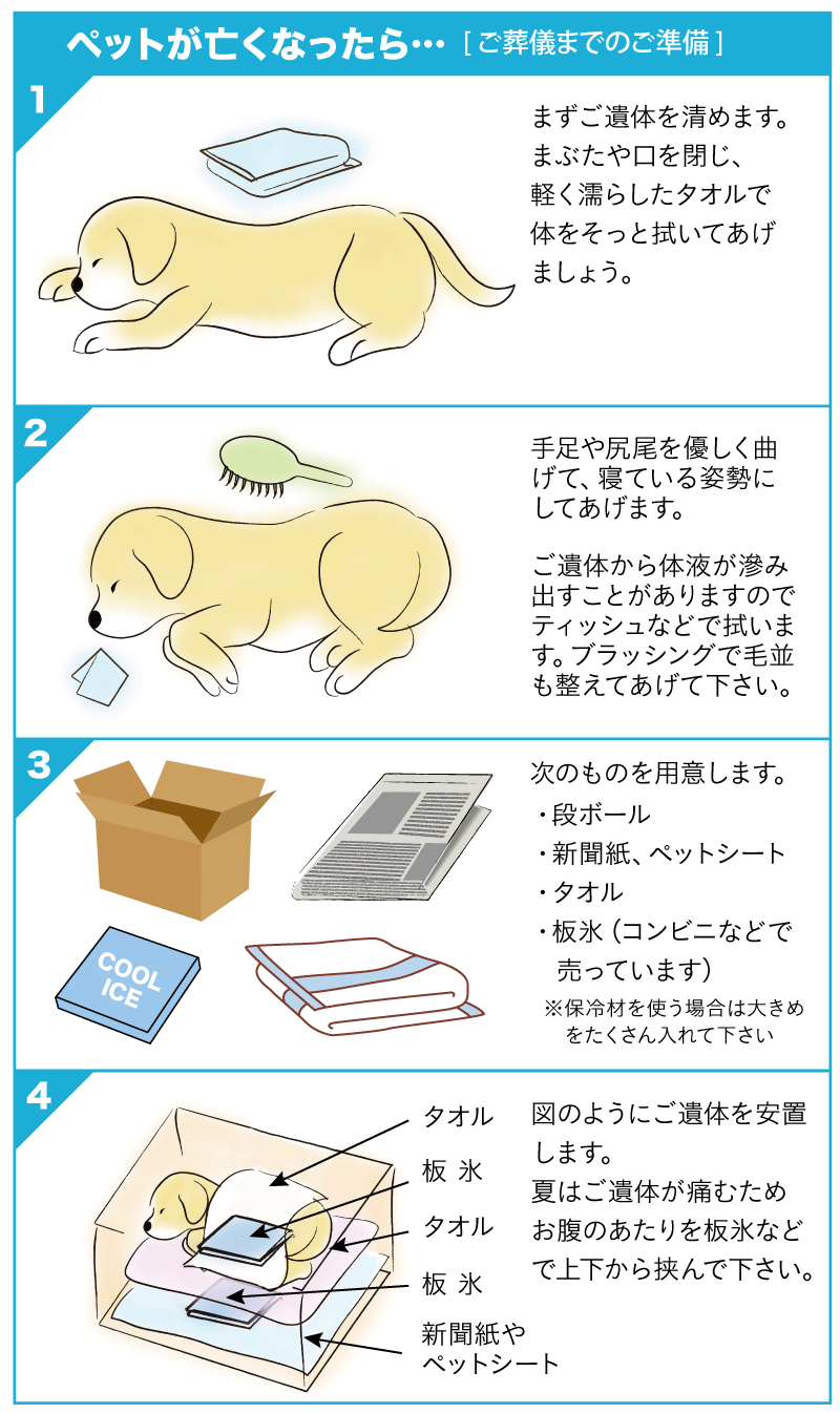 ペットが死んだらどうする？良かれと思ったNg行動と正しい安置・火葬の全手順