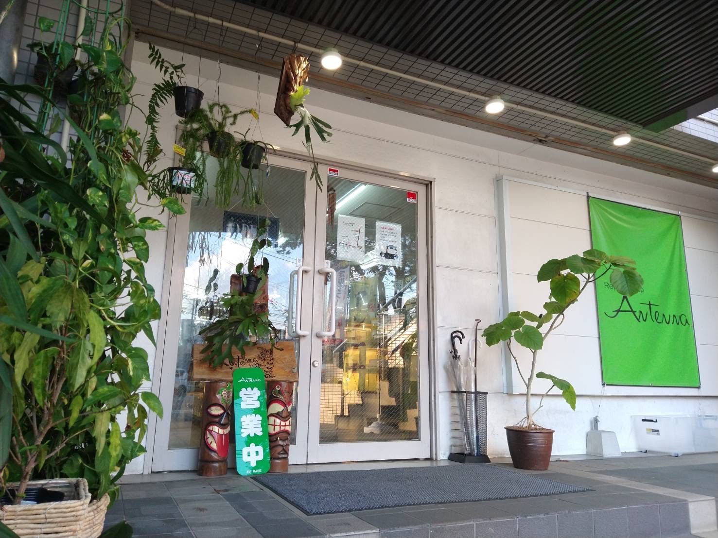 福岡の爬虫類ショップ徹底比較！初心者向け名店から生餌・用品の穴場まで