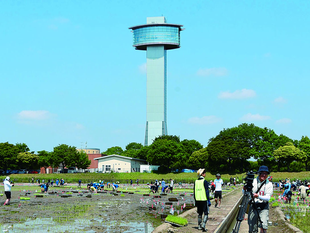 行田タワーの魅力と真相！ギネス田んぼアートや混雑回避術を徹底解剖