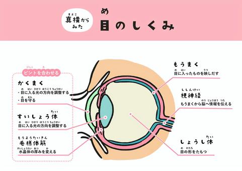 目に光がない人の心理と怪演の真相！話題のサイコスリラー解剖