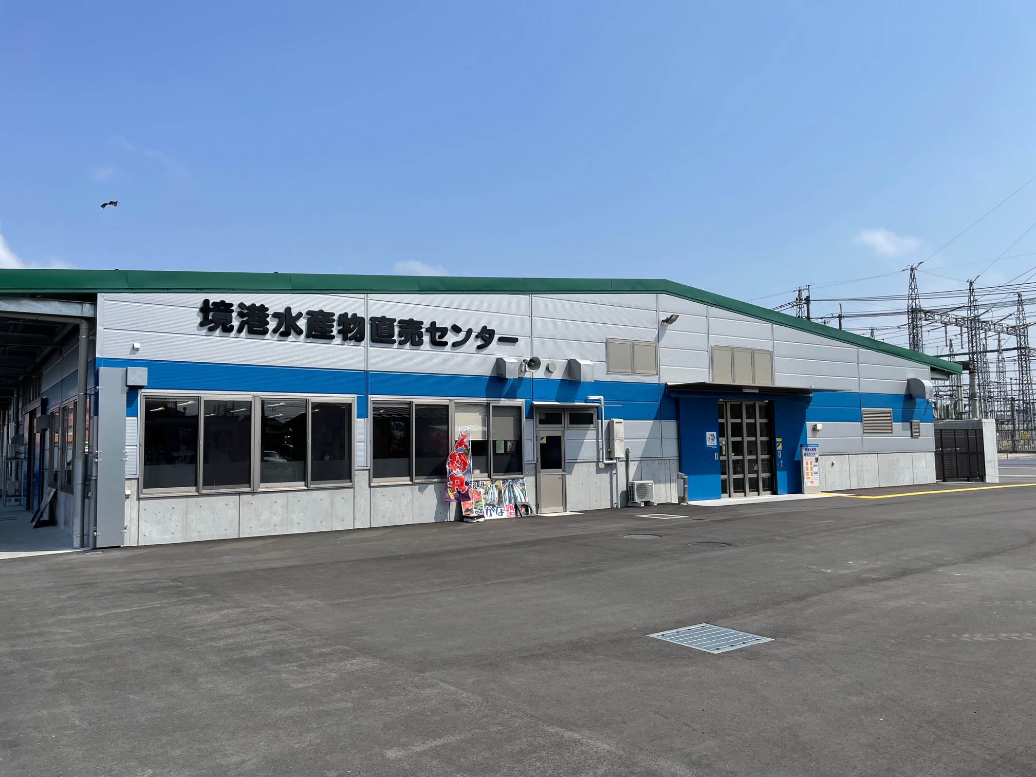 日本一のカニ水揚げ港が魅せる「食卓直結」の現場——境港水産物直売センターで追う2026年最新の競りと旨さのリアル