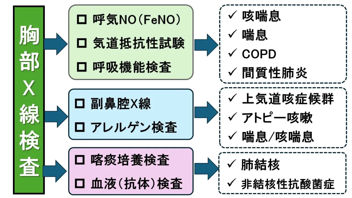 熱はないのに乾いた咳が続く原因は？咳喘息や受診目安を徹底解説