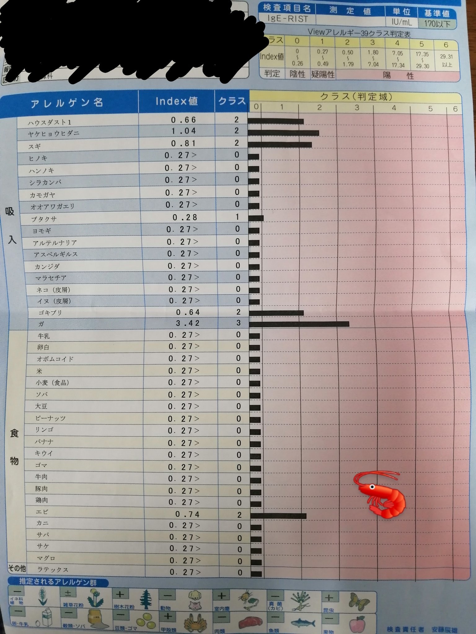 エビアレルギー検査の費用と受診目安！原因物質トロポミオシンとは