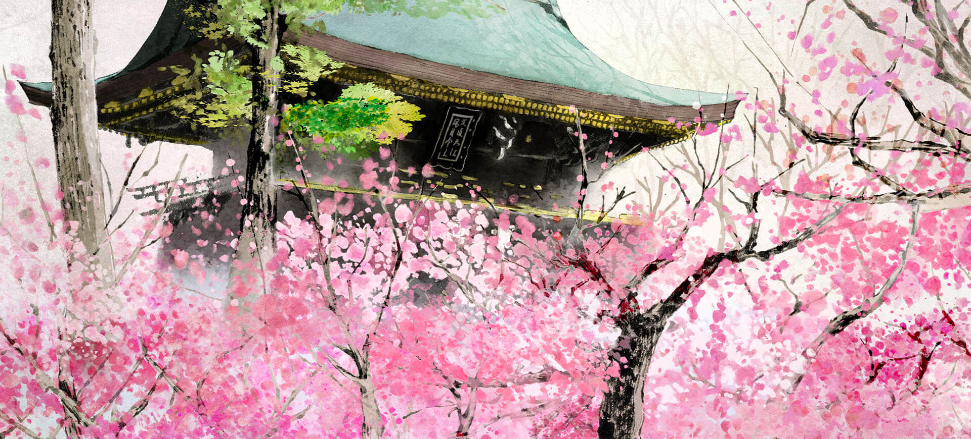 北野天満宮の梅2026見頃・開花状況速報！ライトアップと梅花祭ガイド