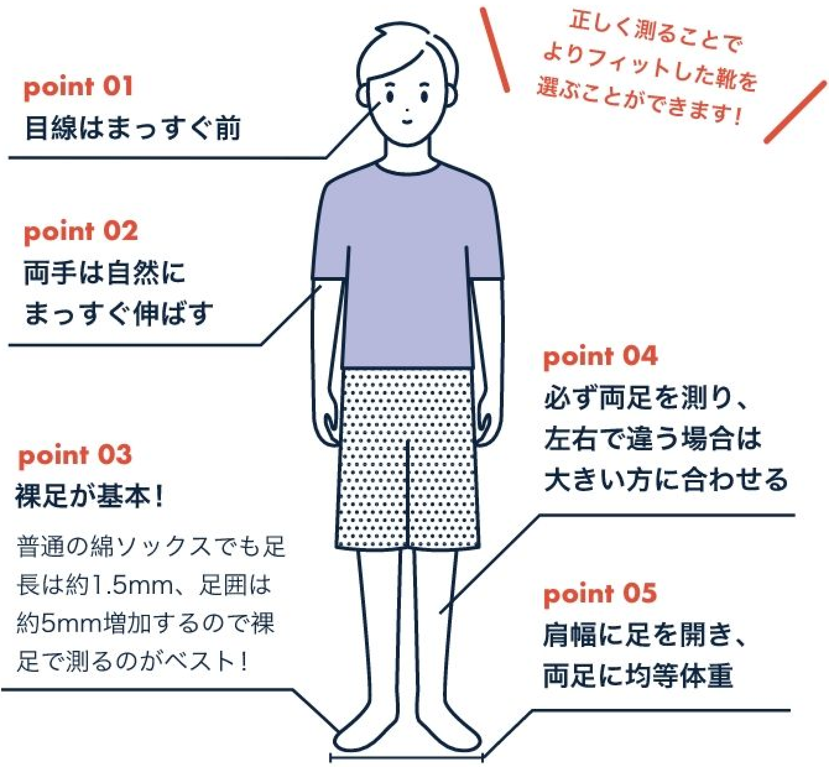 足の長さの真実｜日本人平均と理想の黄金比・股下測定の決定版