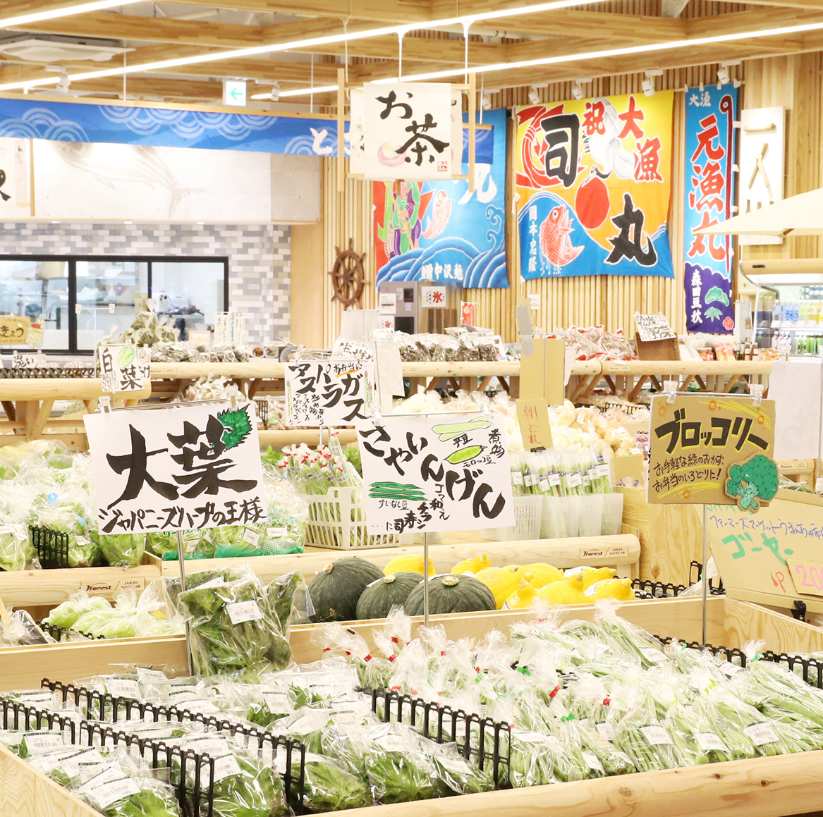 高知とさのさと人気の秘密と攻略法！混雑回避と絶品名物を徹底解説