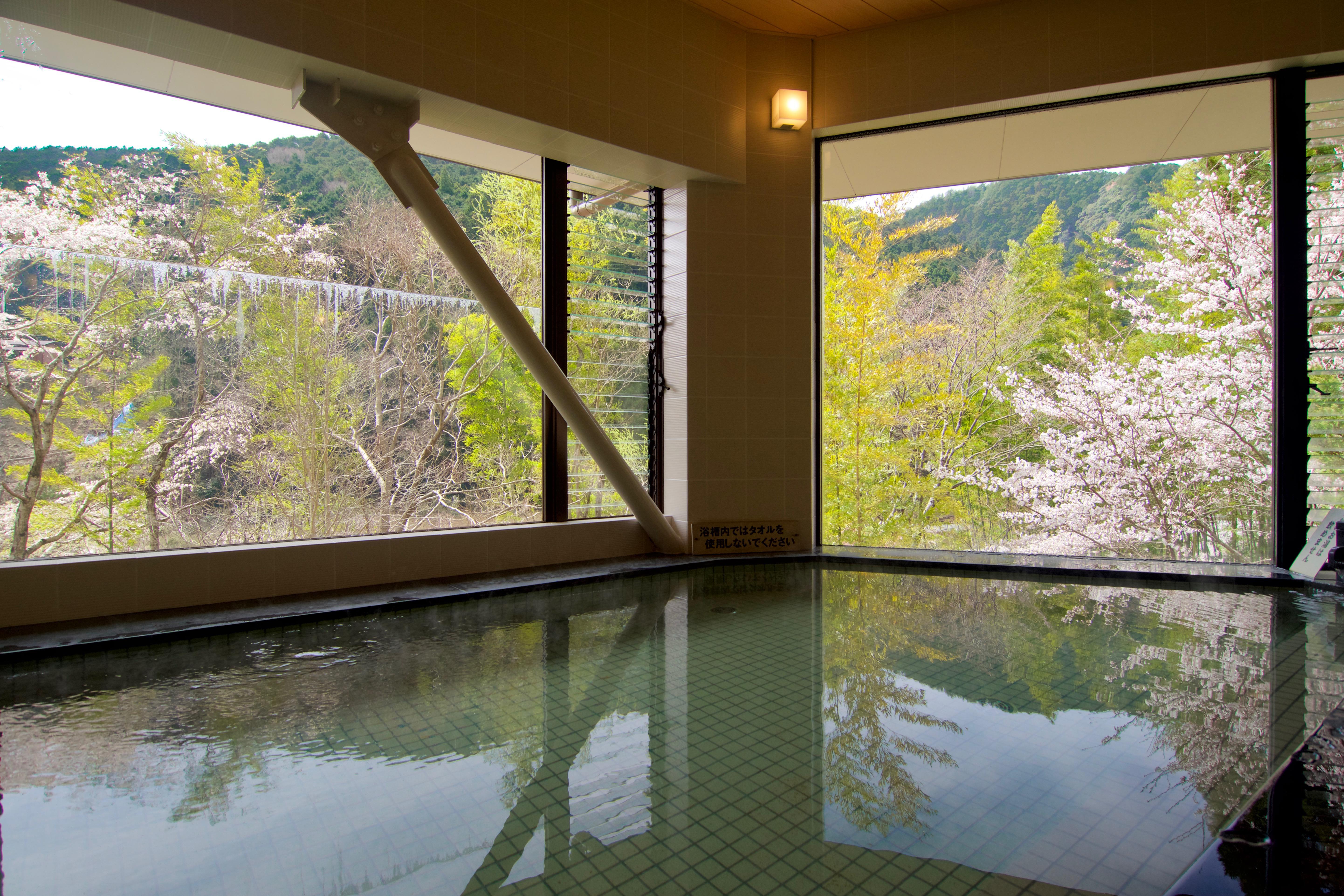 隠された名湯へ！中荘温泉の絶景露天風呂と穴場完全攻略ガイド