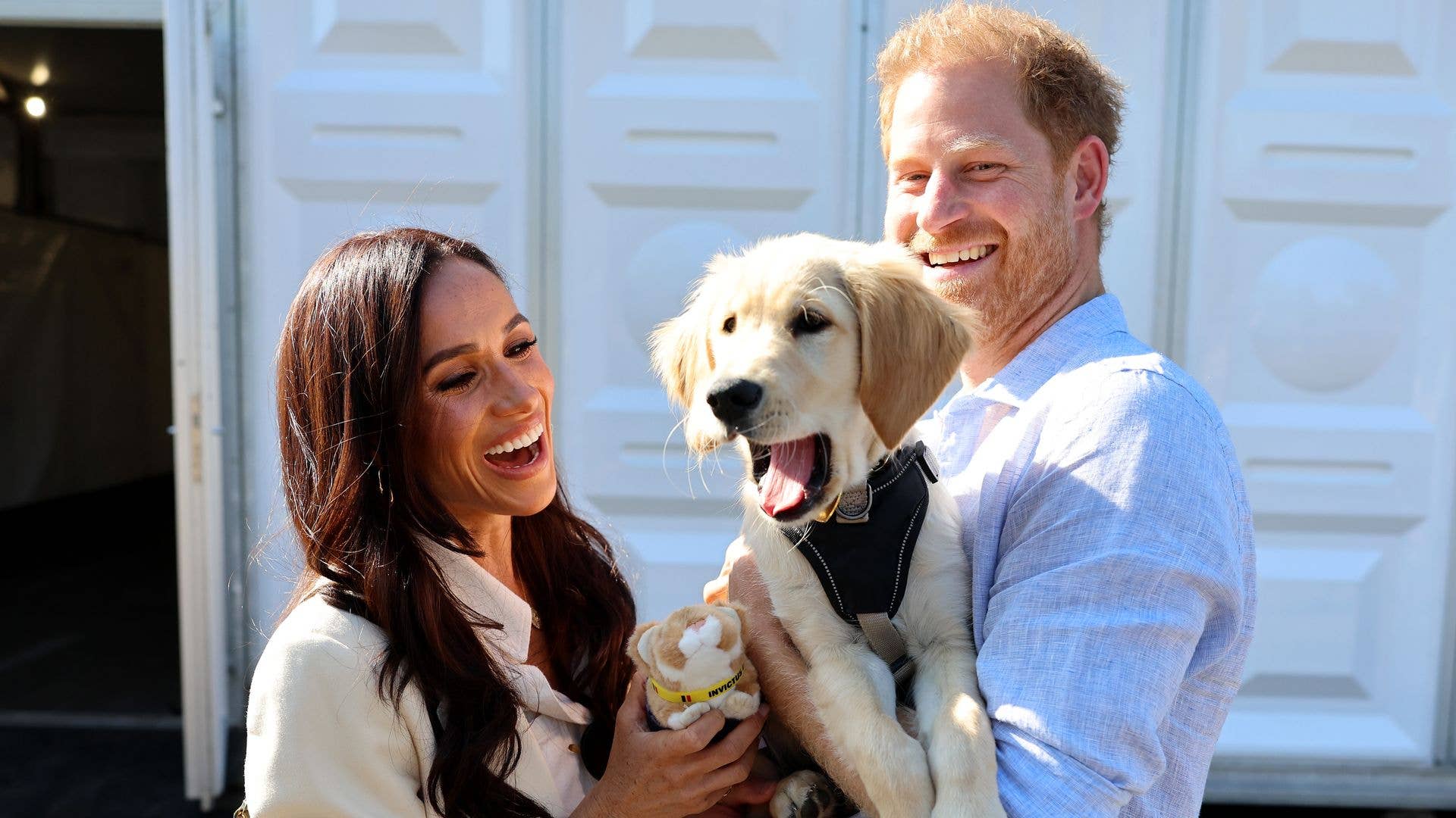 Inside Meghan and Harry’s Pet Move: Dogs Join, Chickens Stay in California