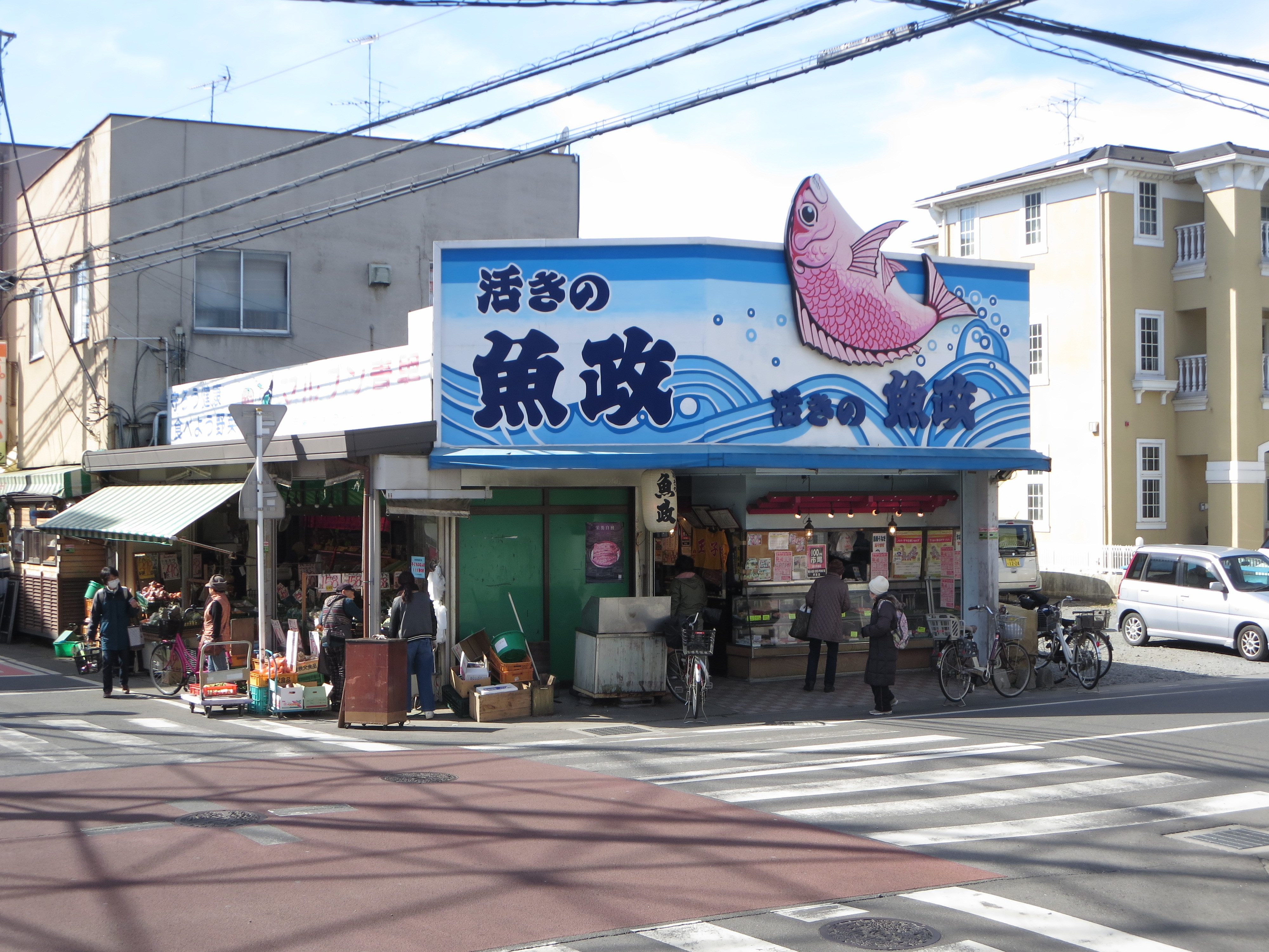活きの魚政が選ばれる理由と評判｜ランチ混雑や予約の真相徹底解説