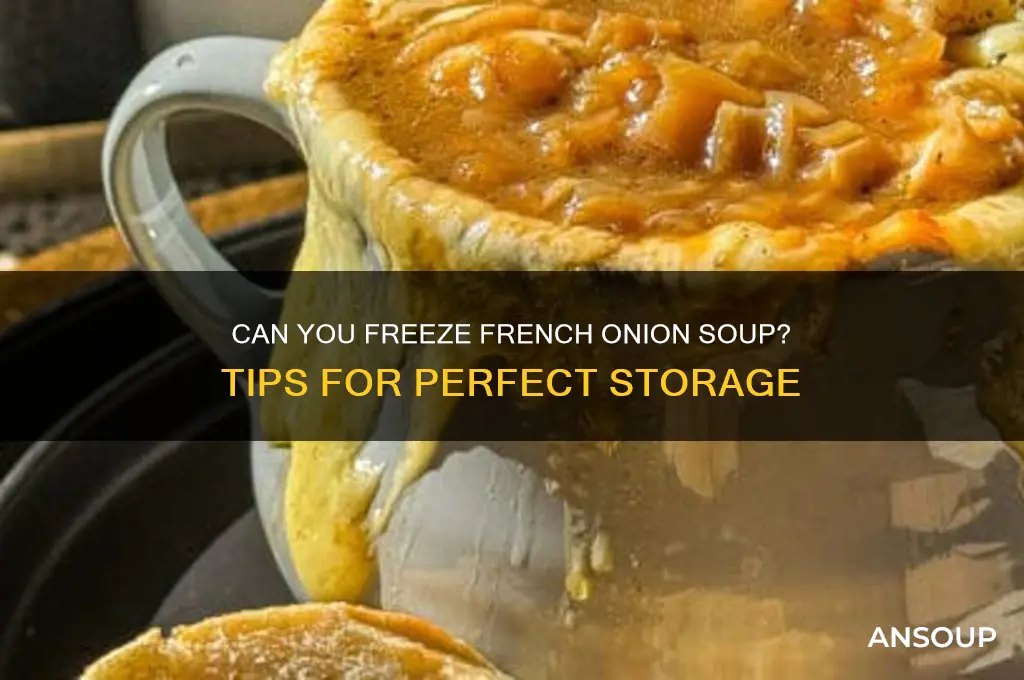 Can I Freeze French Onion Soup