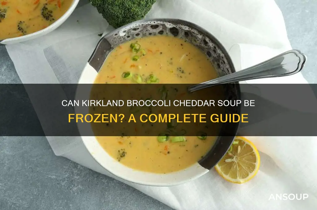Can Broccoli Soup Be Frozen