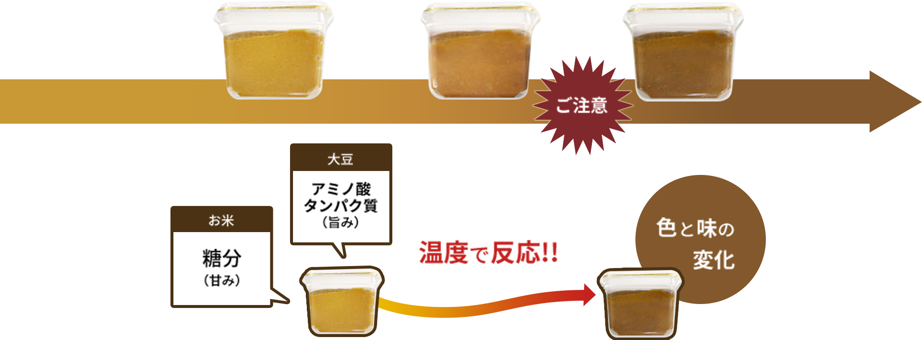 味噌の保存方法は冷凍が最強？プロ直伝の劣化防止術と長持ちの極意