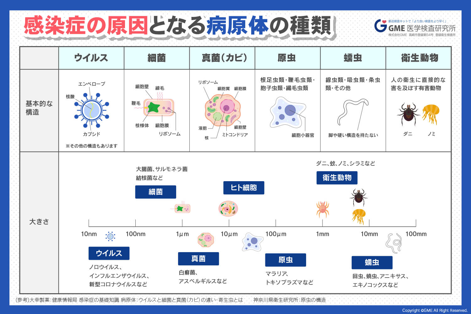 真菌と細菌の違いとは？抗生物質が効かない理由と薬の選び方を徹底解説