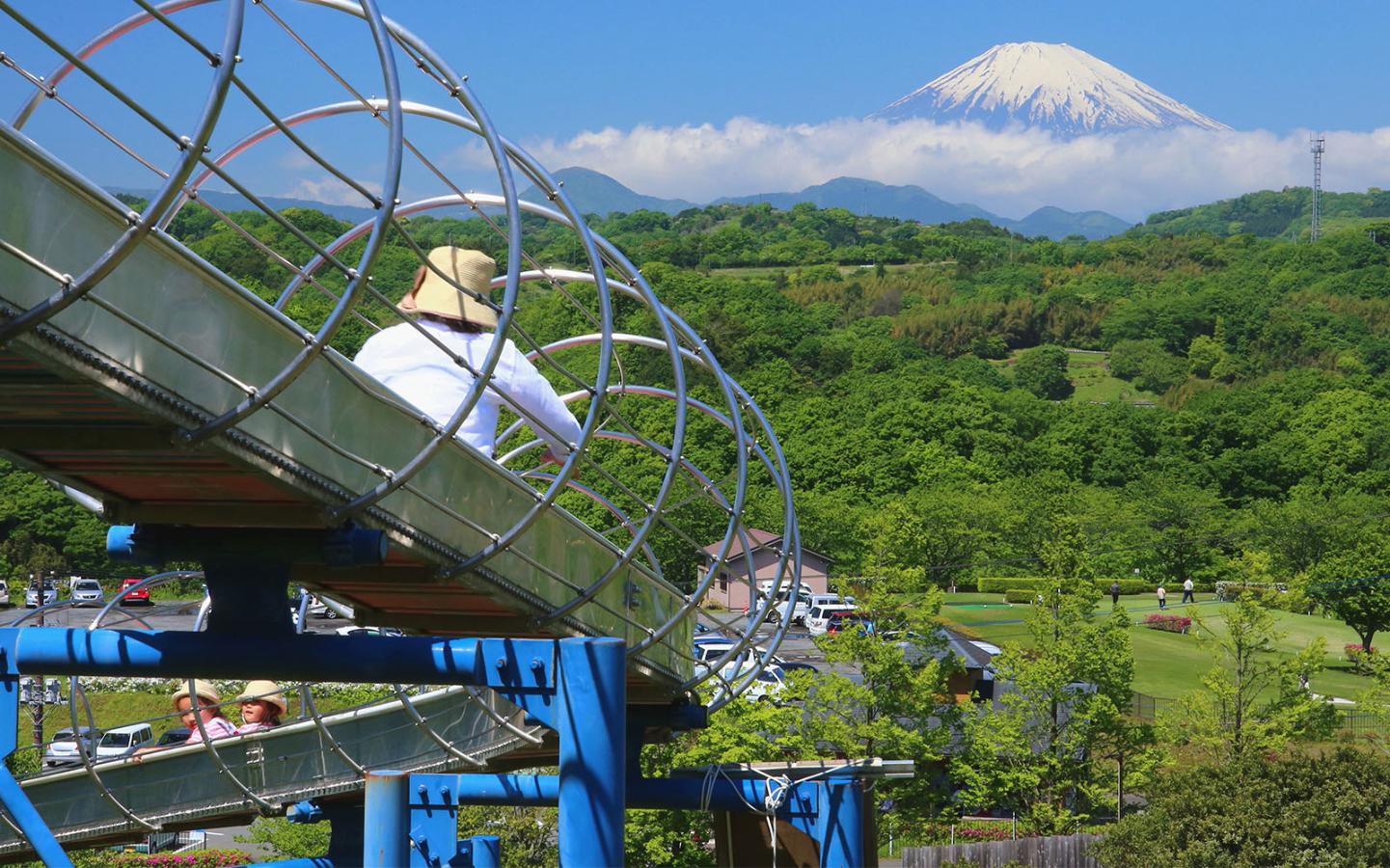 中井中央公園が子連れに選ばれる理由！遊具・混雑・カフェ徹底解剖