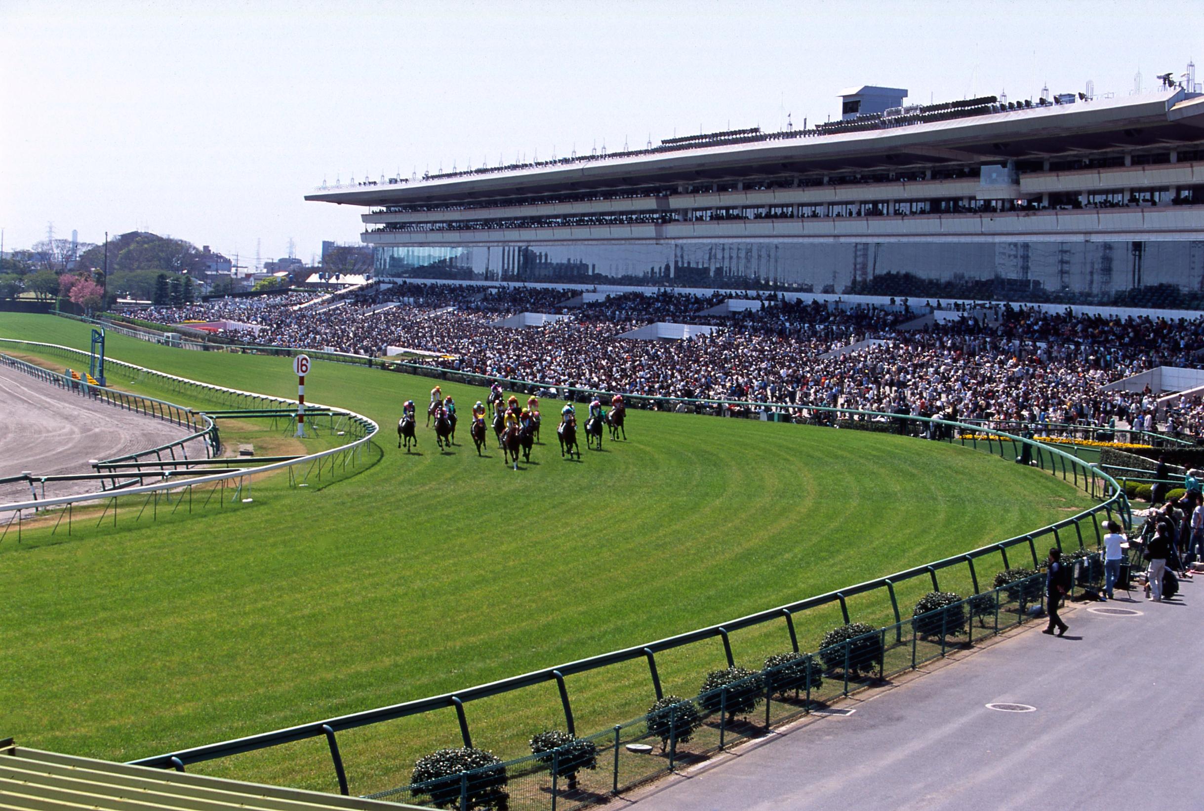 競馬の税金はなぜPatでばれる？確定申告ラインと追徴対策