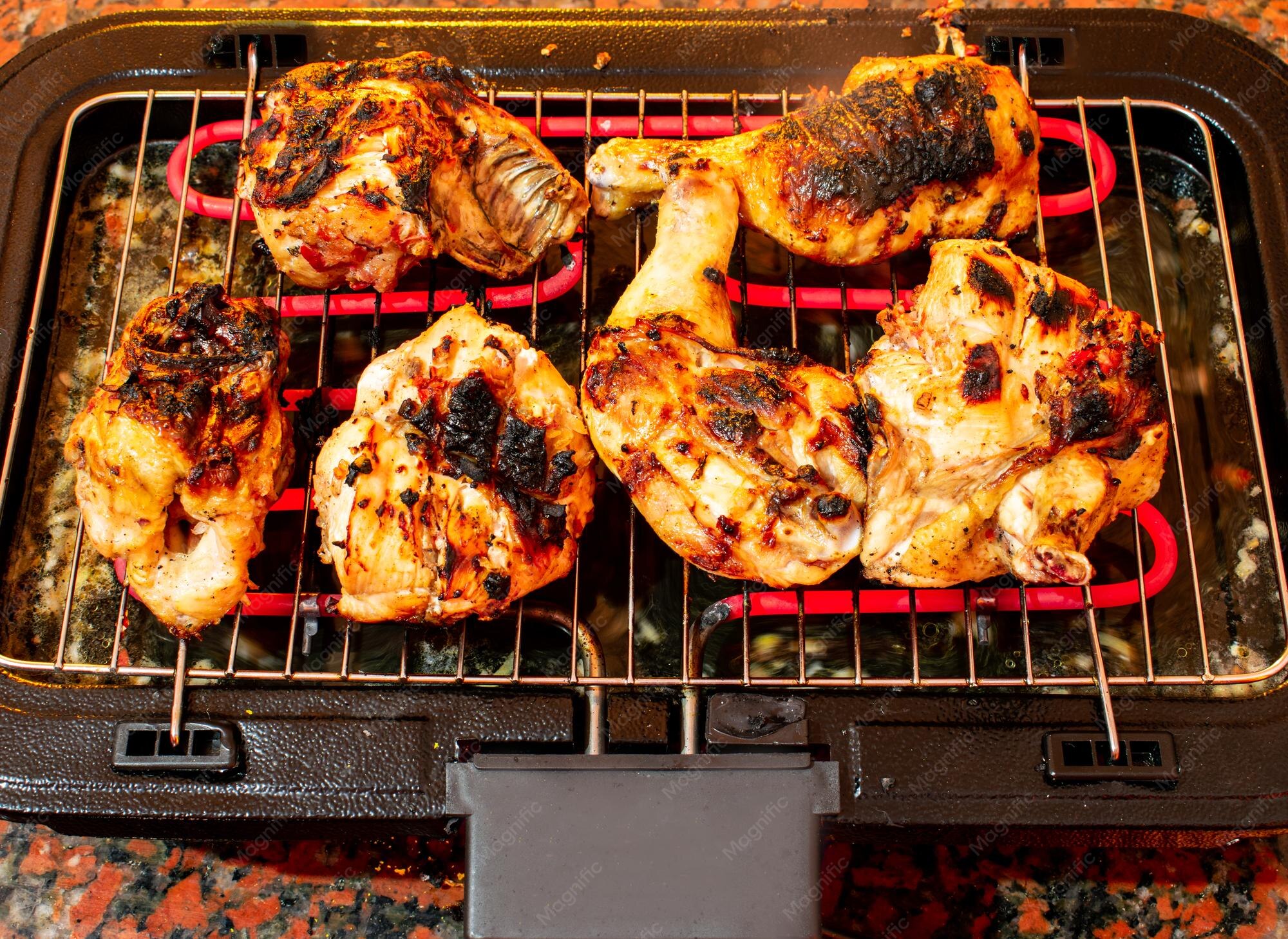 Grilled Chicken on Electric Grill