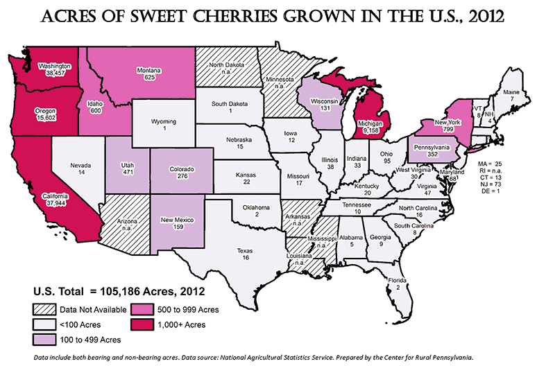 Where Are Cherries Grown in Usa