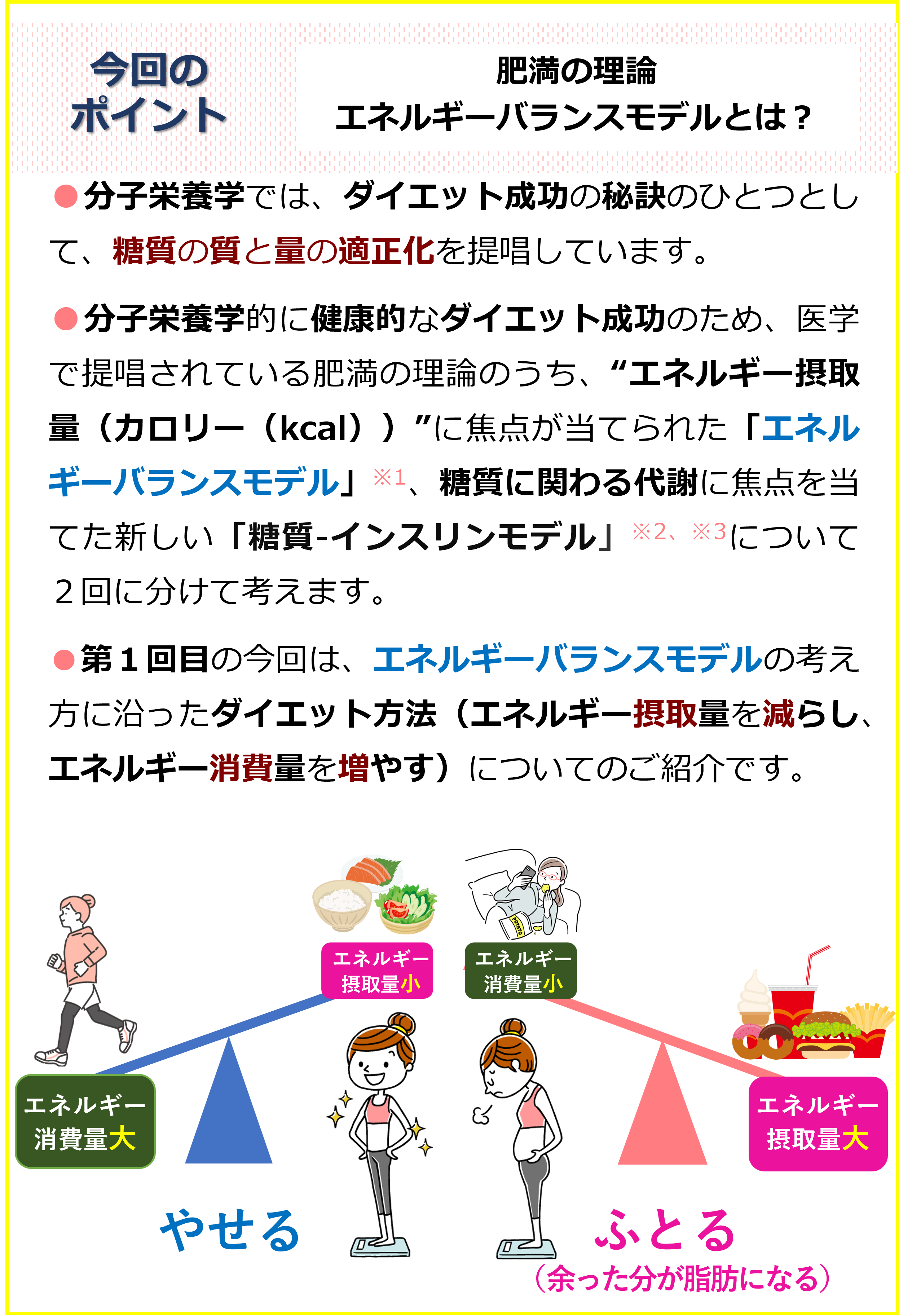 カロリー神話の嘘を暴く！太る本当の理由と2026年最新の科学