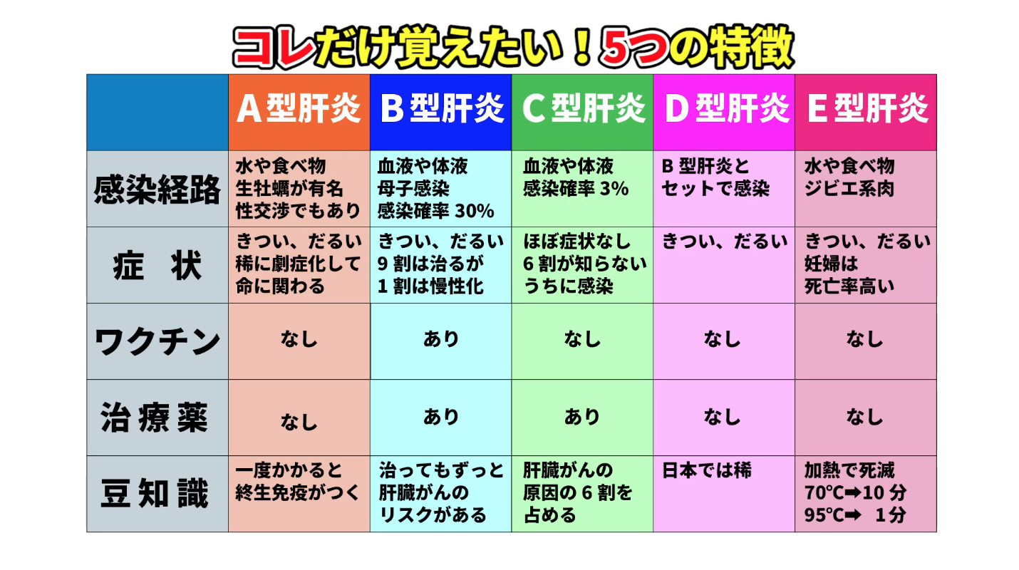 B型とC型肝炎どちらが怖い？完治率とがん化リスクの決定的な差