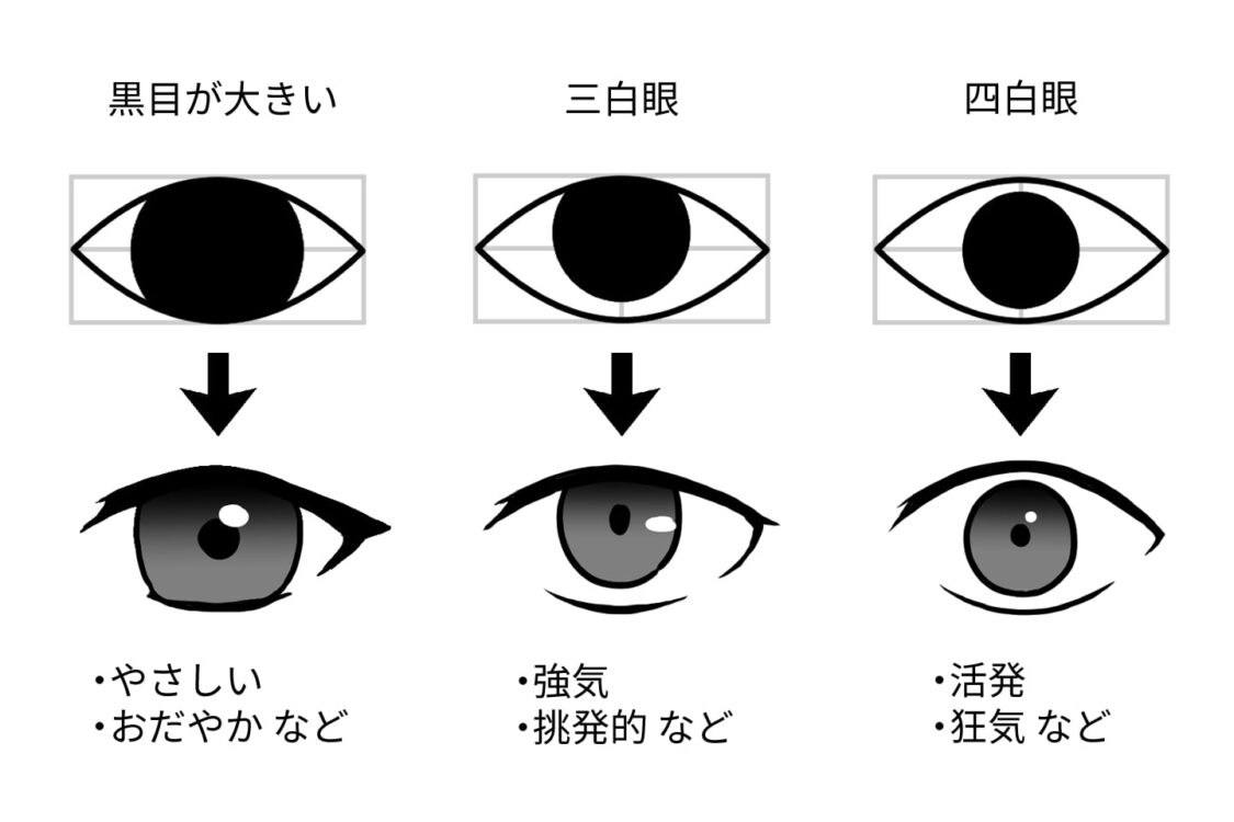 なぜ視線を惹きつけるのか？黒目が大きい人が愛される科学的理由