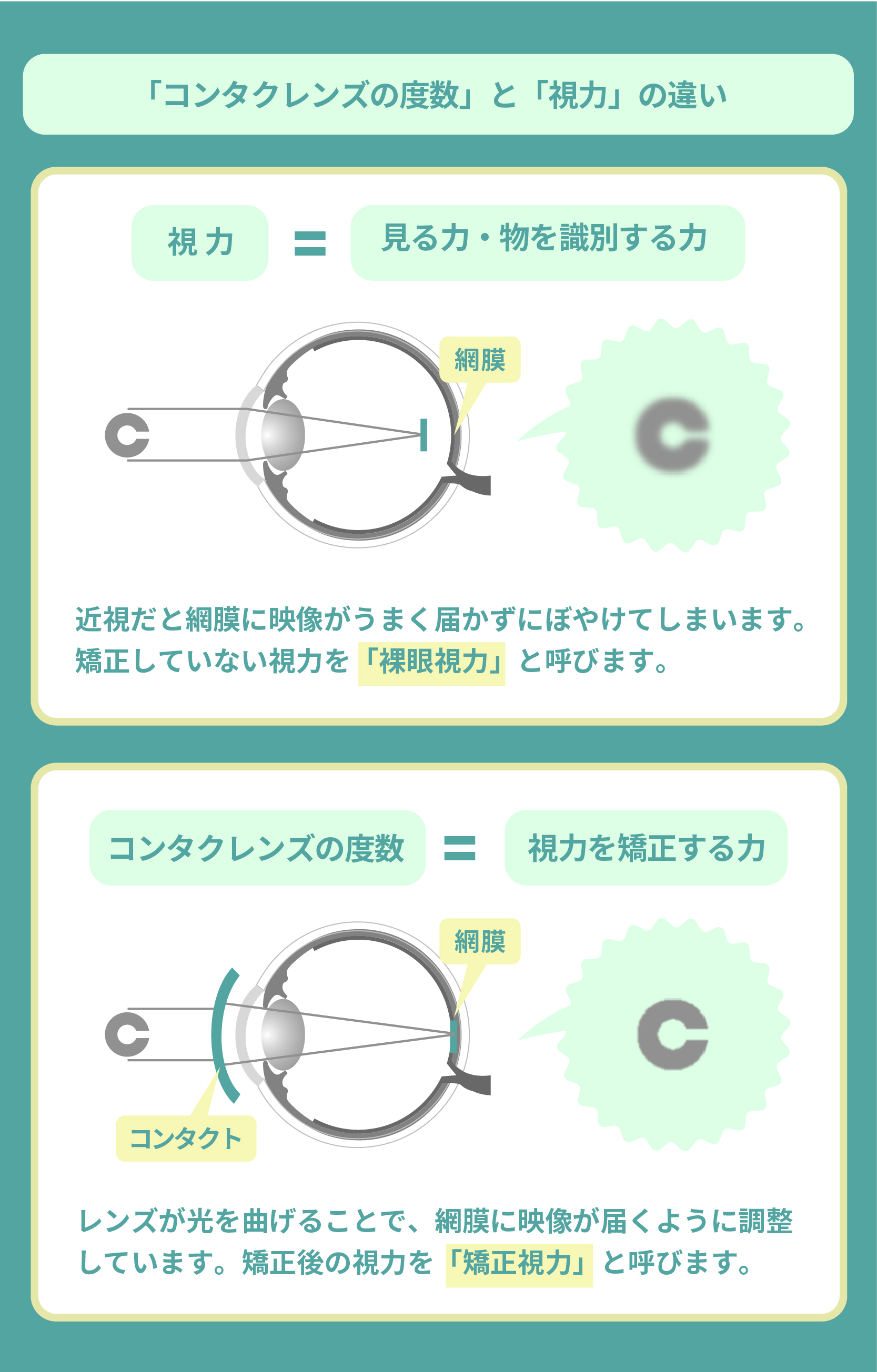 コンタクト装着液と目薬の違いは？乾きを防ぐ仕組みとおすすめ完全解説