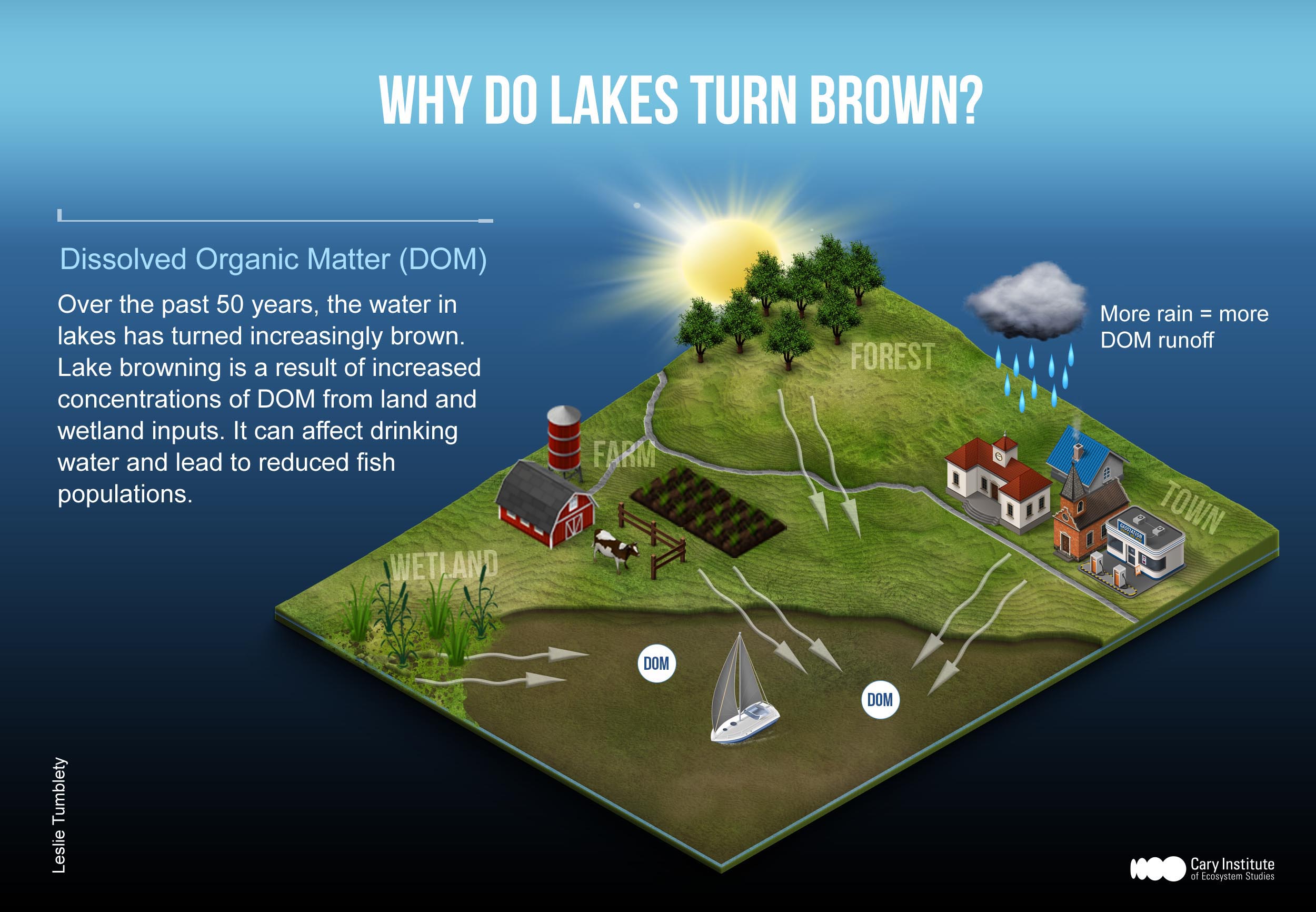 Why Is Lake Water Brown