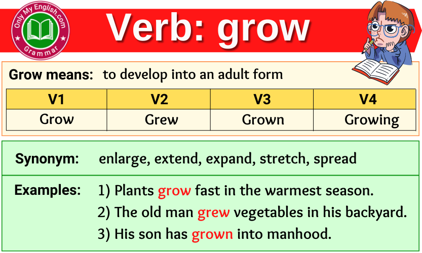 英語GrowとGrewの違いを完全解剖！不規則変化と発音の罠を徹底網羅
