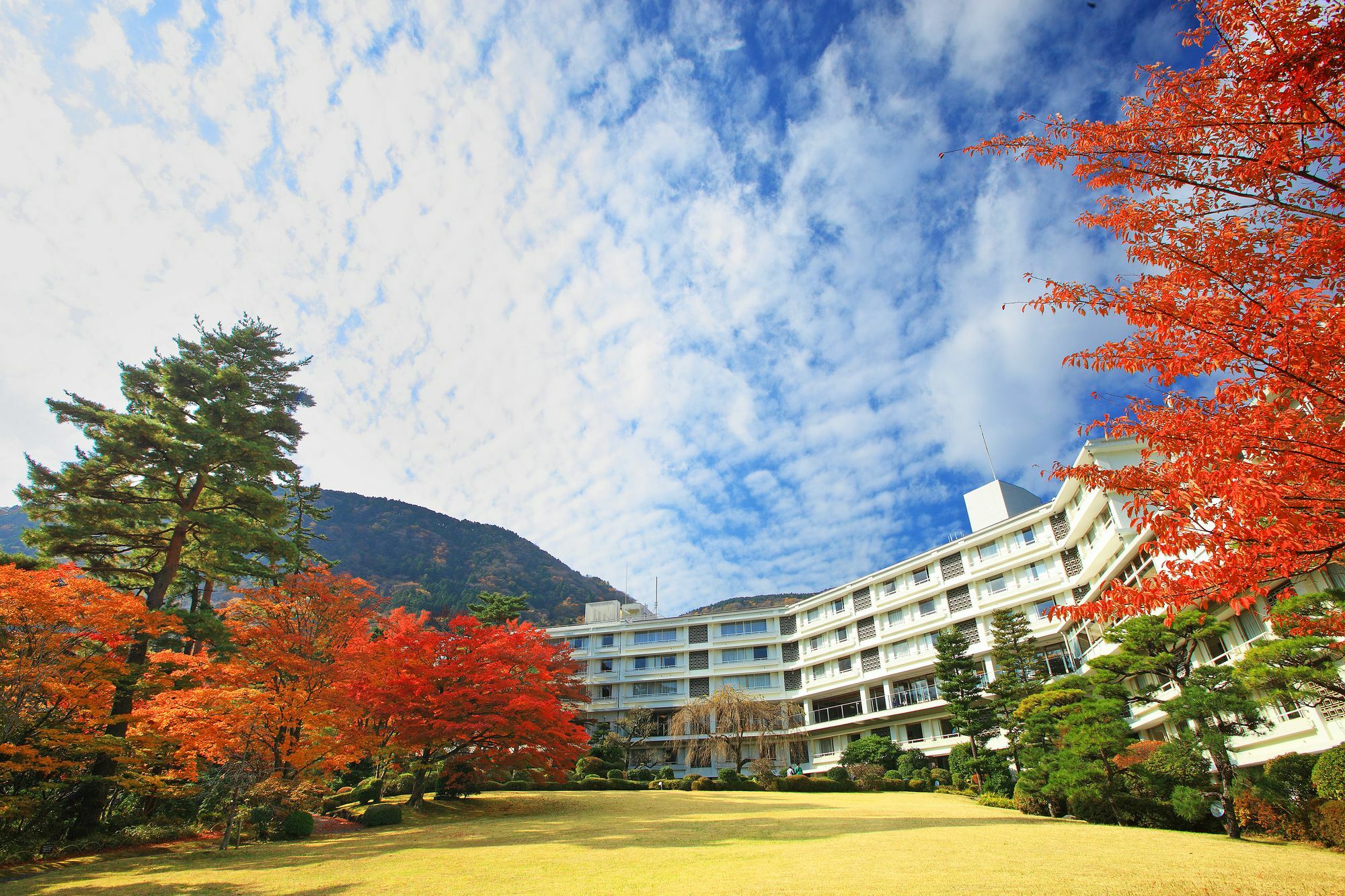箱根ホテル小涌園の評判を徹底検証！ユネッサン特典やビュッフェの真相