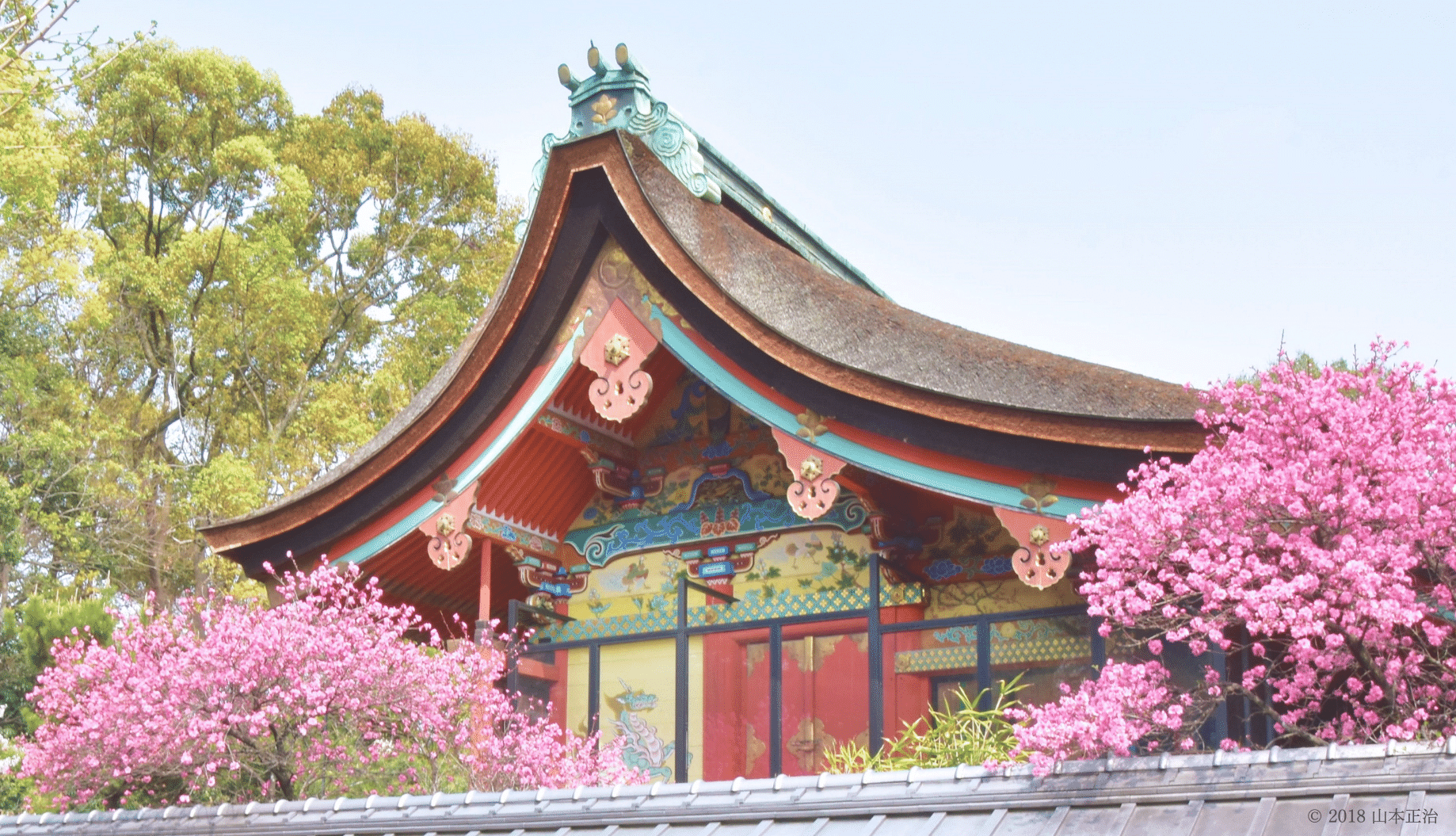 伏見・御香宮神社の名水と安産祈願｜水占いから歴史の真相まで徹底解説