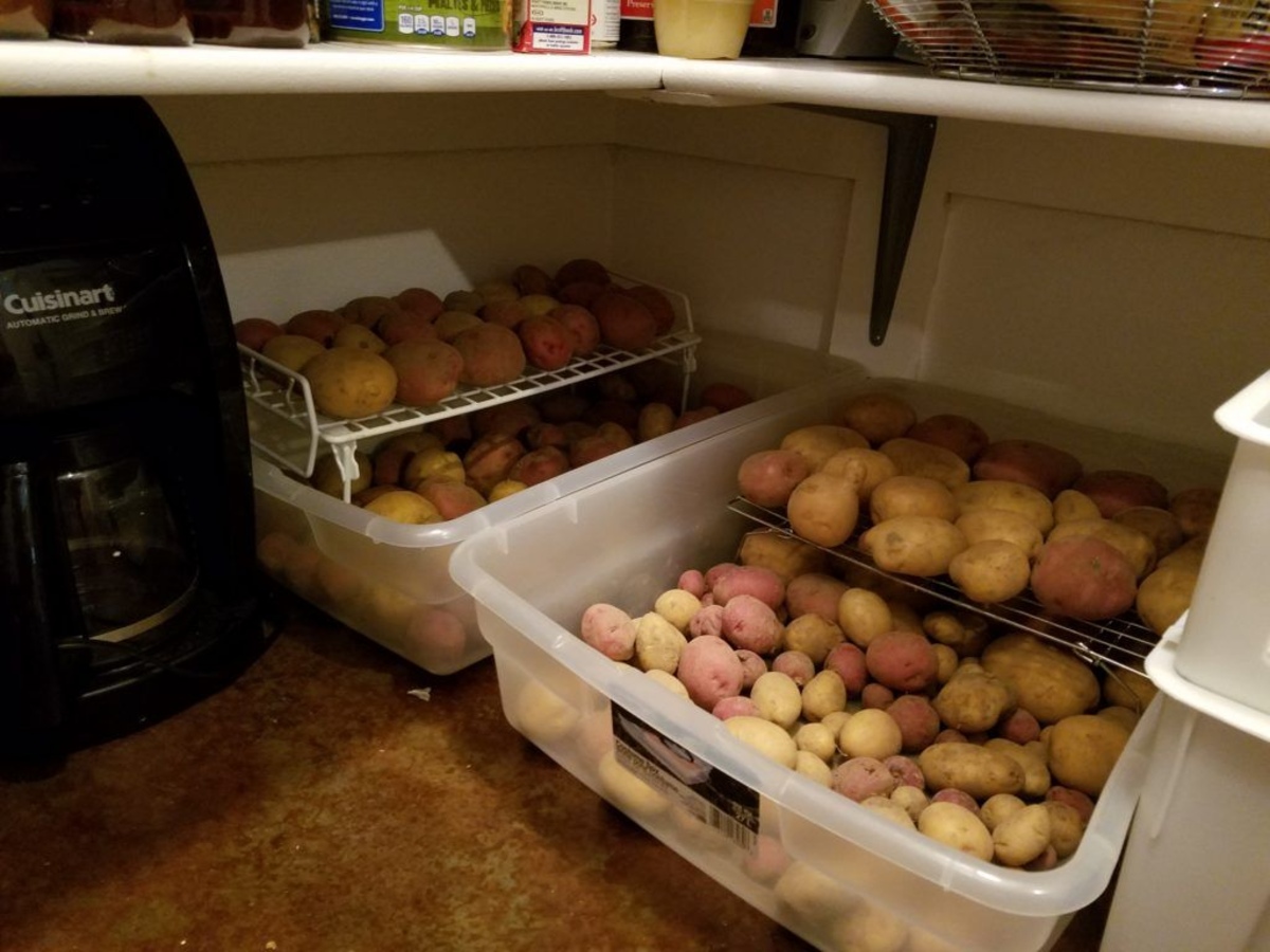 Should I Store Potatoes in the Fridge