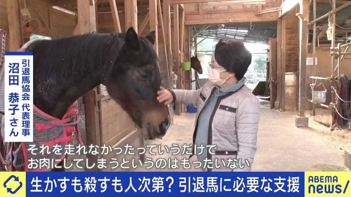 栄光を掴んだ脚がなぜ肥育場へ？引退馬を巡る衝撃の現実と舞台裏