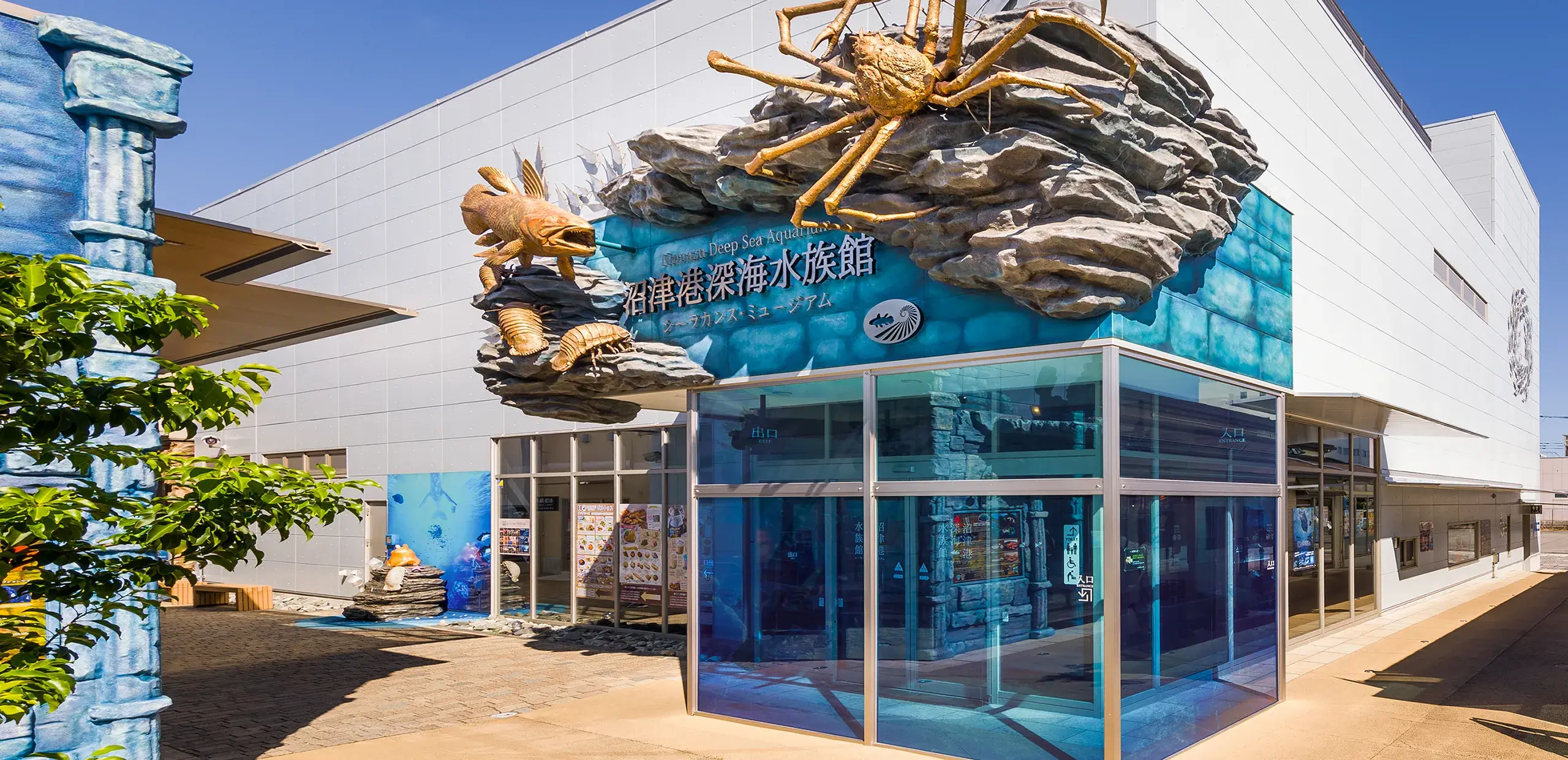 沼津港深海水族館の魅力と混雑回避術！所要時間や見どころを徹底解説