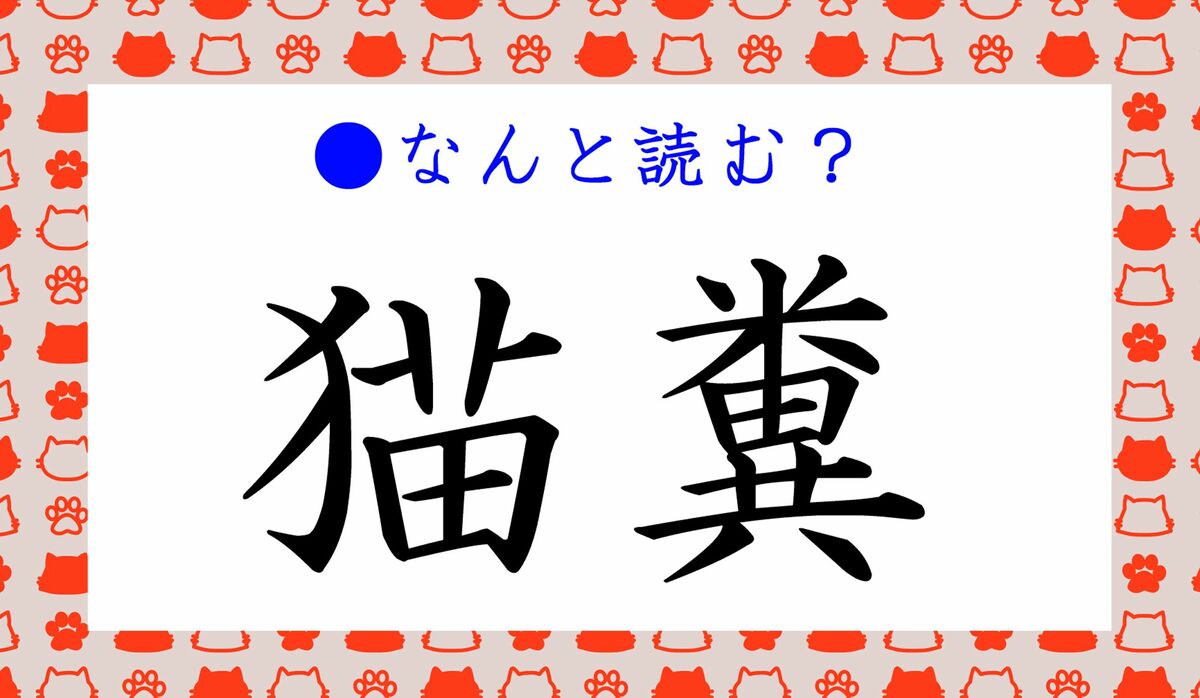 「愛猫」はあいびょう？あいねこ？恥をかく前に知る正しい読み方と常識